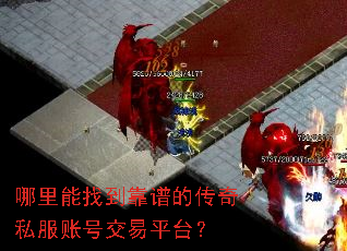 �������ҵ����׵Ĵ���˽���˺Ž���ƽ̨��