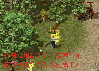 ����˽����������ָ�ϣ���δ��㿪ʼ��Ϊ��Ϸ���֣�