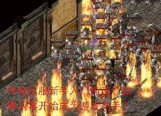 ����˽����������ָ�ϣ���δ��㿪ʼ��Ϊ��Ϸ���֣�