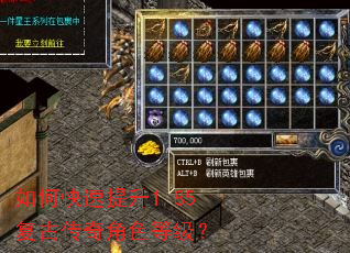 如何快速提升1.85复古传奇角色等级? 如何快速提升1.85复古传奇角色等级?