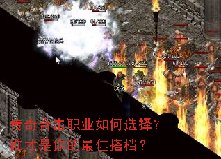 ����ϻ�ְҵ���ѡ��˭���������Ѵ��