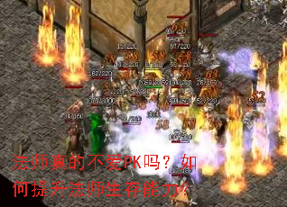 法师真的不爱PK吗?如何提升法师生存能力? 法师真的不爱PK吗?如何提升法师生存能力?