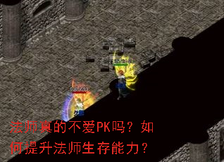 法师真的不爱PK吗?如何提升法师生存能力? 法师真的不爱PK吗?如何提升法师生存能力?