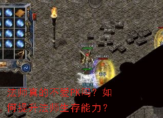 法师真的不爱PK吗?如何提升法师生存能力? 法师真的不爱PK吗?如何提升法师生存能力?