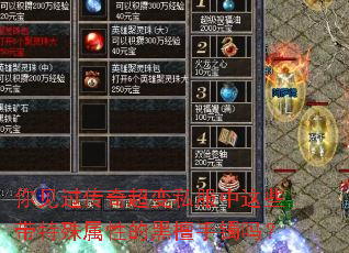 你见过传奇超变私服中这些带特殊属性的黑檀手镯吗? 你见过传奇超变私服中这些带特殊属性的黑檀手镯吗?