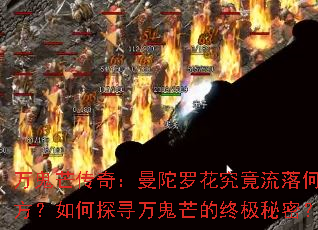 ���â���棺�����޻���������η������̽Ѱ���â���ռ����ܣ�