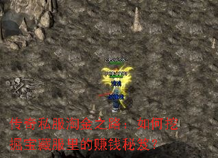 传奇私服淘金之路:如何挖掘宝藏服里的赚钱秘笈? 传奇私服淘金之路:如何挖掘宝藏服里的赚钱秘笈?