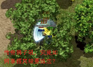 ����ʨ�Ӻ𣬾�����������侫Ҫ������