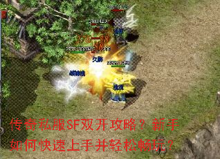 ����˽��SF˫�����ԣ�������ο������ֲ����ɳ��棿