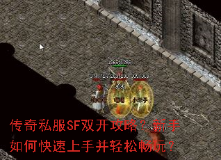 ����˽��SF˫�����ԣ�������ο������ֲ����ɳ��棿