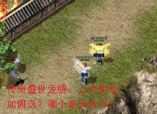 ����ʢ�����ڣ�����ְҵ���ѡ���ĸ����ʺ��㣿