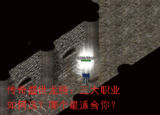 ����ʢ�����ڣ�����ְҵ���ѡ���ĸ����ʺ��㣿