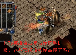 1.76Ӣ�ۺϻ����Ŵ����ֻ��棬��Щ������������������