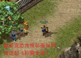 最新变态传奇私服如何快速起飞称霸全服? 最新变态传奇私服如何快速起飞称霸全服?