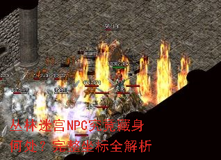 �����Թ�NPC���������δ�����������ȫ����
