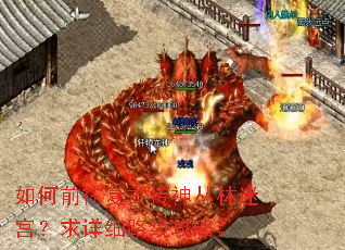如何前往复古传神丛林迷宫?求详细路线攻略。 如何前往复古传神丛林迷宫?求详细路线攻略。