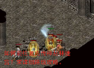 如何前往复古传神丛林迷宫?求详细路线攻略。 如何前往复古传神丛林迷宫?求详细路线攻略。