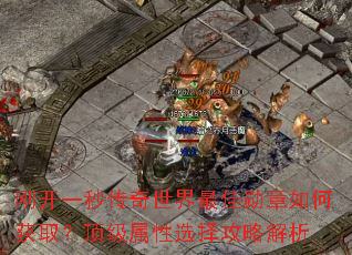 �տ�һ�봫���������ѫ����λ�ȡ����������ѡ���Խ���