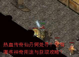 热血传奇仙丹何处寻?它有哪些神奇用途与获取攻略? 热血传奇仙丹何处寻?它有哪些神奇用途与获取攻略?