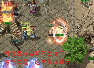 ���汦���BOSS����λ��ȫ֪����������ȡ����