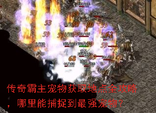 ������������ȡ�ص�ȫ���ԣ������ܲ�׽����ǿ���