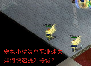 宠物小精灵单职业迷失如何快速提升等级? 宠物小精灵单职业迷失如何快速提升等级?