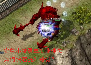 宠物小精灵单职业迷失如何快速提升等级? 宠物小精灵单职业迷失如何快速提升等级?
