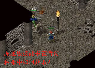 ħ�����������ڴ���˽������λ�ȡ��