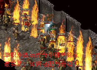 ��ְҵ΢�˴�������Щ������ʵ�ã���δ�����������