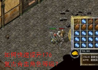 如何快速提升176复古合击角色等级? 如何快速提升176复古合击角色等级?