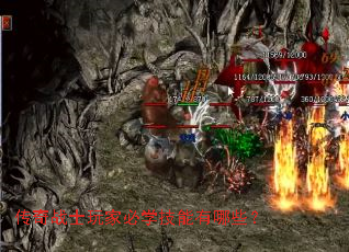 ����սʿ��ұ�ѧ��������Щ��