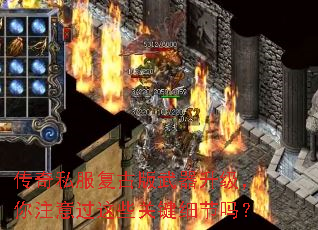 ����˽�����Ű�������������ע�����Щ�ؼ�ϸ����