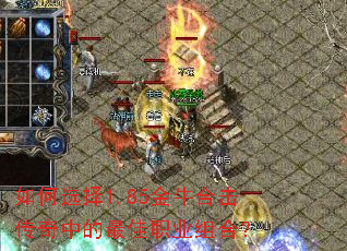 ���ѡ��1.85��ţ�ϻ������е����ְҵ��ϣ�