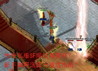 ����˽��SF��վ����Щ���������ѡ����ܿ�ָ�ϣ�