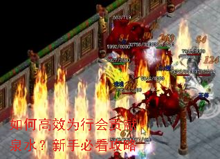 如何高效为行会贡献泉水?新手必看攻略 如何高效为行会贡献泉水?新手必看攻略