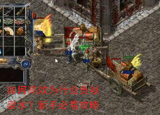 如何高效为行会贡献泉水?新手必看攻略 如何高效为行会贡献泉水?新手必看攻略