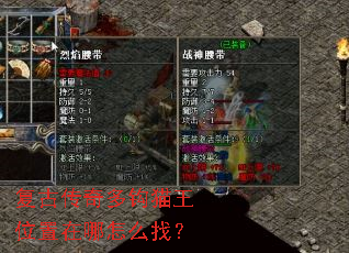 复古传奇多钩猫王位置在哪怎么找? 复古传奇多钩猫王位置在哪怎么找?