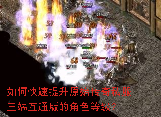 如何快速提升原始传奇私服三端互通版的角色等级? 如何快速提升原始传奇私服三端互通版的角色等级?