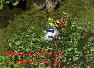 �������ӯӯ�ڳ�����ӹ֮�ۿ�������ս����