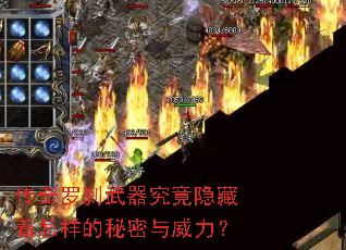 ������ɲ��������������������������������