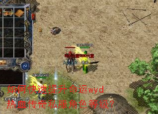 如何快速提升命运wyd热血传奇私服角色等级? 如何快速提升命运wyd热血传奇私服角色等级?