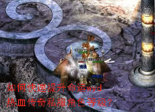 如何快速提升命运wyd热血传奇私服角色等级? 如何快速提升命运wyd热血传奇私服角色等级?