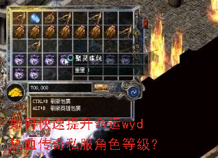 如何快速提升命运wyd热血传奇私服角色等级? 如何快速提升命运wyd热血传奇私服角色等级?