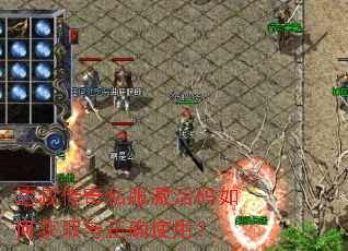 ���崫��˽����������λ�ȡ����ȷʹ�ã�