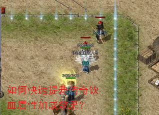 如何快速提升传奇饮血属性加成效果? 如何快速提升传奇饮血属性加成效果?