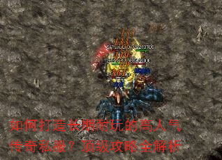 ��δ��쳤������ĸ���������˽������������ȫ����