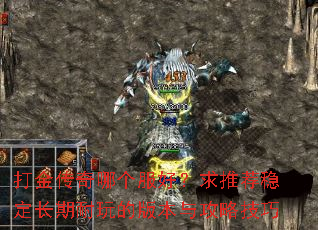 ������ĸ����ã����Ƽ��ȶ���������İ汾�빥�Լ���