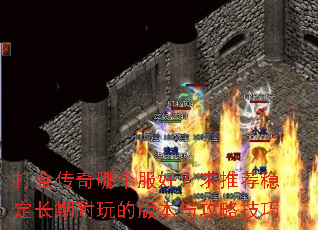������ĸ����ã����Ƽ��ȶ���������İ汾�빥�Լ���