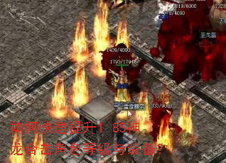如何快速提升1.85神龙合击角色等级与装备? 如何快速提升1.85神龙合击角色等级与装备?