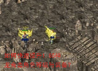 如何快速提升1.85神龙合击角色等级与装备? 如何快速提升1.85神龙合击角色等级与装备?